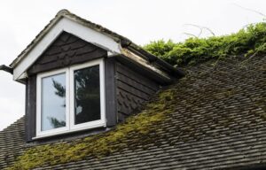 ROOF FROM MOSS GROWTH